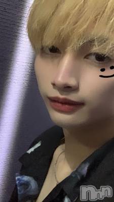 ĮۥȡܡСA151(ݥ) ¤1013̥֥֤Ǥ󡪡