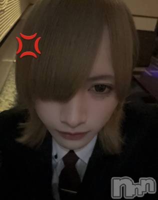 ��Į�ۥ��ȡ��ܡ������С�A151(�����������ݥ���) ����(23)��4��2���̥�֥����֤�����