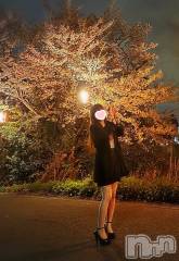 新潟デリヘルA(エース) かんな(40)の4月8日写メブログ「ありがとうございます😆💕✨💓」