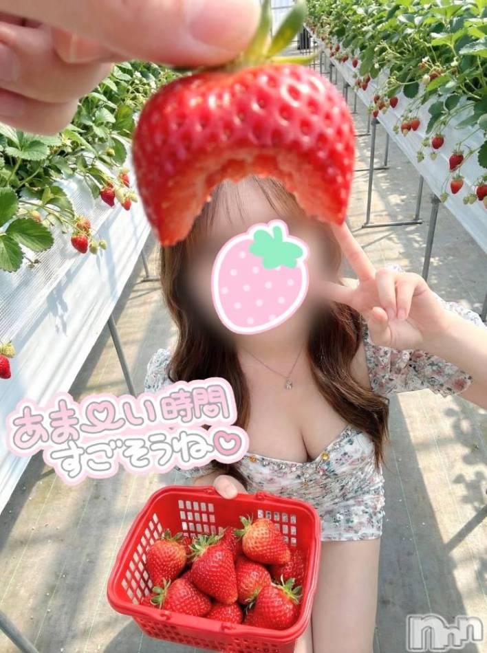 新潟デリヘル(ニイガタノカレンナツマタチ～ヒミツノオウセ～)の2026年4月2日お店速報「睾丸マッサージ可能！黒江さん21時～空き！！！」