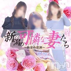 新潟人妻デリヘル(ニイガタノカレンナツマタチ～ヒミツノオウセ～)の2022年3月9日お店速報「スタイル抜群！甘えん坊若妻💖今すぐイケます！！」