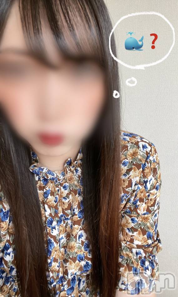 新潟人妻デリヘル(ニイガタノカレンナツマタチ～ヒミツノオウセ～)の2022年9月10日お店速報「本日可憐な美妻がなんと・・・6名が出勤中😻」