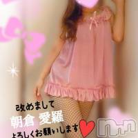 新潟人妻デリヘル 新潟の可憐な妻たち～秘密の逢瀬～(ニイガタノカレンナツマタチ～ヒミツノオウセ～)の3月30日お店速報「✨おっとり可憐な若奥様♪✨最短13：00～ご案内可能！」