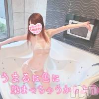 新潟人妻デリヘル 新潟の可憐な妻たち～秘密の逢瀬～(ニイガタノカレンナツマタチ～ヒミツノオウセ～)の11月21日お店速報「体験夫人が出勤2日目⭐プレミアムの子にも奇跡の空きが！？」