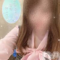 新潟人妻デリヘル 新潟の可憐な妻たち～秘密の逢瀬～(ニイガタノカレンナツマタチ～ヒミツノオウセ～)の10月15日お店速報「【完売必須】朝から色気たっぷりの美人奥様が集結」
