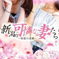 新潟人妻デリヘル 新潟の可憐な妻たち～秘密の逢瀬～(ニイガタノカレンナツマタチ～ヒミツノオウセ～)の11月26日お店速報「今夜が大チャンス★レア奥様ばかりです🔥」