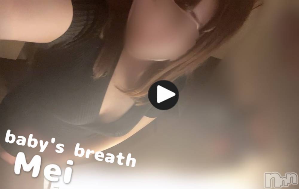 󥺥baby's breath(٥ӡ ֥쥹) ɤᤤ428̥֥ư