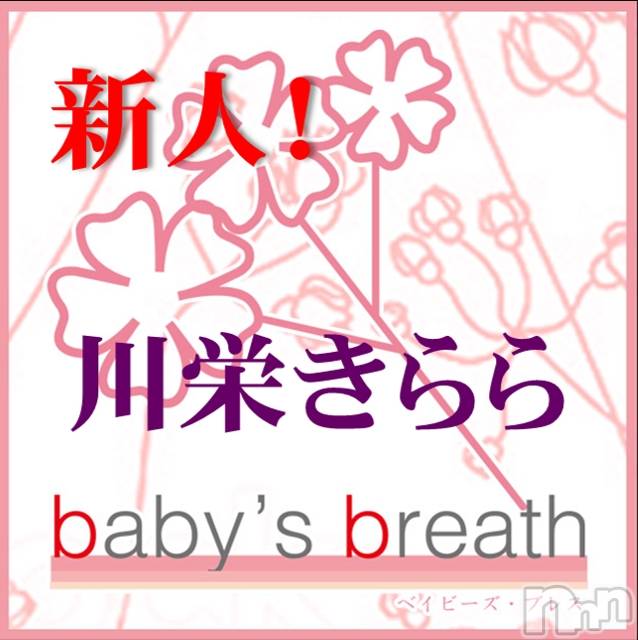 󥺥baby's breath(٥ӡ ֥쥹) ɤᤤ211ֽ̥֥ޤɤǤ