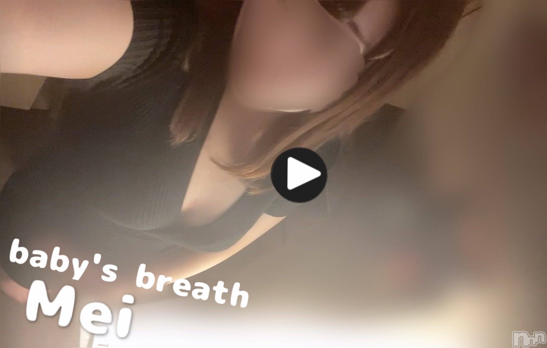 󥺥baby's breath(٥ӡ ֥쥹) 2024ǯ428̥֥ư
