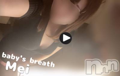 󥺥baby's breath(٥ӡ ֥쥹) ɤᤤ(28)428̥֥ư