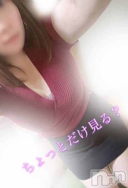 󥺥baby's breath(٥ӡ ֥쥹) ɤᤤ813̥֥֥ȥ쥹ȸ礦ˤϡ