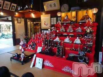 新潟人妻デリヘル 一夜妻(イチヤヅマ) じゅり(35)の3月19日写メブログ「雛人形巡り(*´∀｀)」