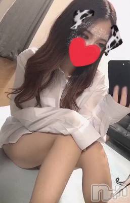 㡦ȯĥꥢ󥺥Ƥޤơ(ޥƥåȥ˥) ͥڡ椫(29)713̥֥֤äѤ