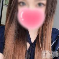 㡦ȯĥꥢ󥺥 ޤơ(ޥƥåȥ˥) ͥڡ椫β(2)