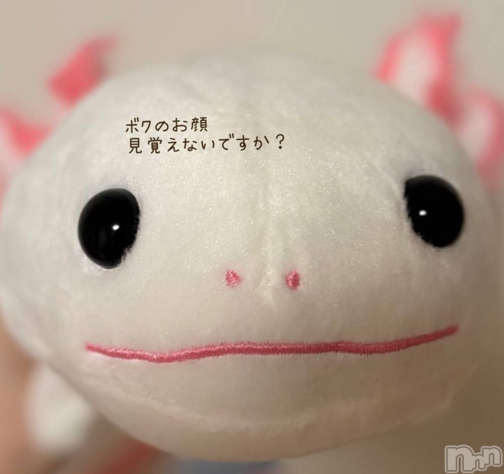 長岡デリヘル長岡人妻市(ナガオカヒトヅマイチ) もか★天使のかわいさ★(30)の8月28日写メブログ「僕ね...」