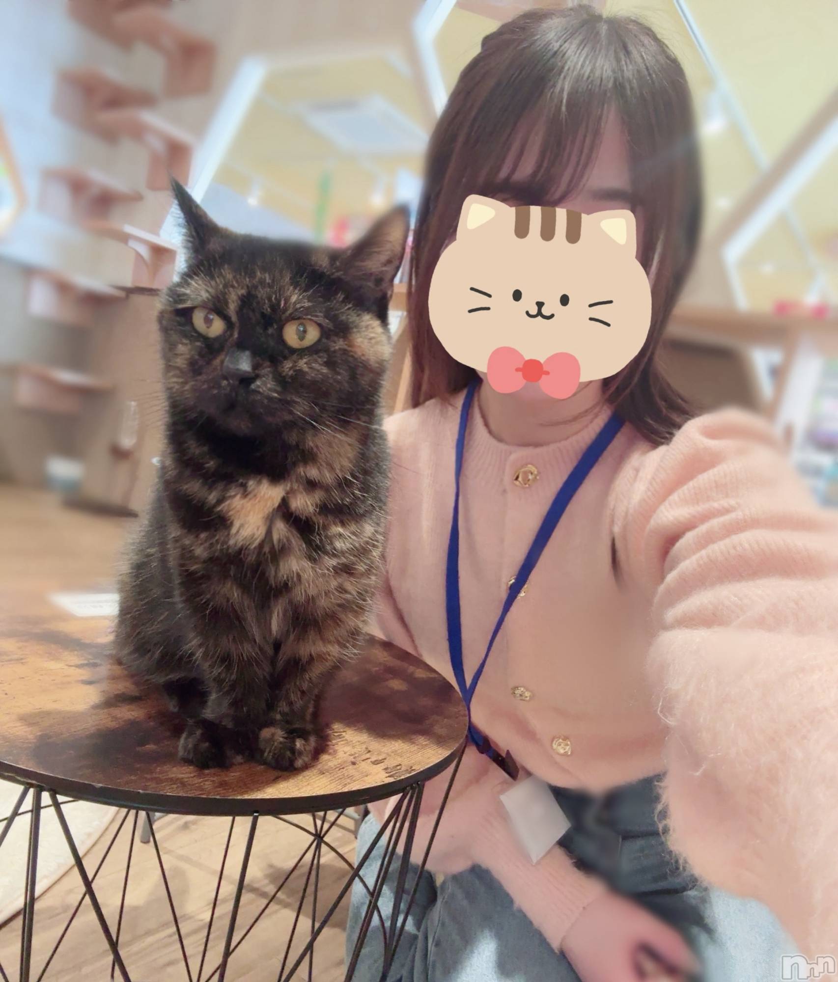 長岡デリヘル長岡人妻市(ナガオカヒトヅマイチ)もか★天使のかわいさ★(30)の2025年2月22日写メブログ「ツーショット🤳🐈💕」