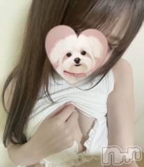 長岡デリヘル長岡人妻市(ナガオカヒトヅマイチ) もか★天使のかわいさ★(30)の4月23日写メブログ「おはローション💕」