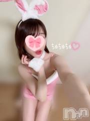 長岡デリヘル長岡人妻市(ナガオカヒトヅマイチ) もか★天使のかわいさ★(30)の5月19日写メブログ「17時から」