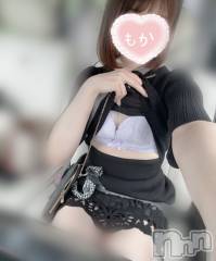 長岡デリヘル長岡人妻市(ナガオカヒトヅマイチ) もか★天使のかわいさ★(30)の6月28日写メブログ「信号待ちの」