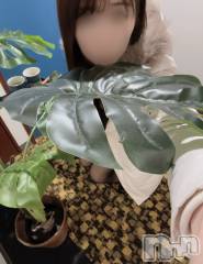 長岡デリヘル長岡人妻市(ナガオカヒトヅマイチ) もか★天使のかわいさ★(30)の12月14日写メブログ「本日の天使のつぶやき👼✨」