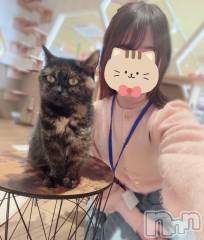 長岡デリヘル長岡人妻市(ナガオカヒトヅマイチ) もか★天使のかわいさ★(30)の2月22日写メブログ「ツーショット🤳🐈💕」