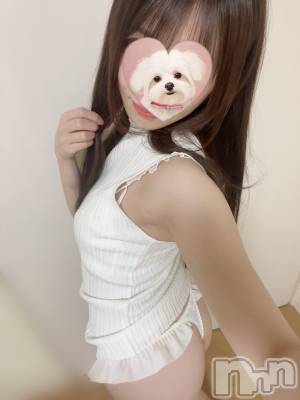 長岡デリヘル 長岡人妻市(ナガオカヒトヅマイチ) もか★天使のかわいさ★(30)の4月22日写メブログ「きーん🩷」