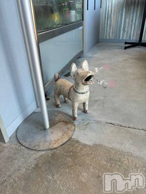 長岡デリヘル 長岡人妻市(ナガオカヒトヅマイチ) もか★天使のかわいさ★(30)の9月12日写メブログ「初めて一緒にランチ😋🍽️」