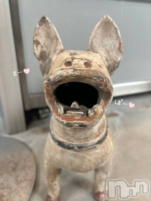 長岡デリヘル 長岡人妻市(ナガオカヒトヅマイチ) もか★天使のかわいさ★(30)の10月16日写メブログ「いたいた！発見！！」