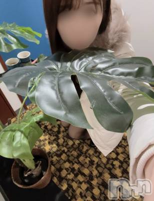 長岡デリヘル 長岡人妻市(ナガオカヒトヅマイチ) もか★天使のかわいさ★(30)の12月14日写メブログ「本日の天使のつぶやき👼✨」