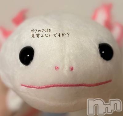 長岡デリヘル 長岡人妻市(ナガオカヒトヅマイチ) もか★天使のかわいさ★(30)の8月28日写メブログ「僕ね...」