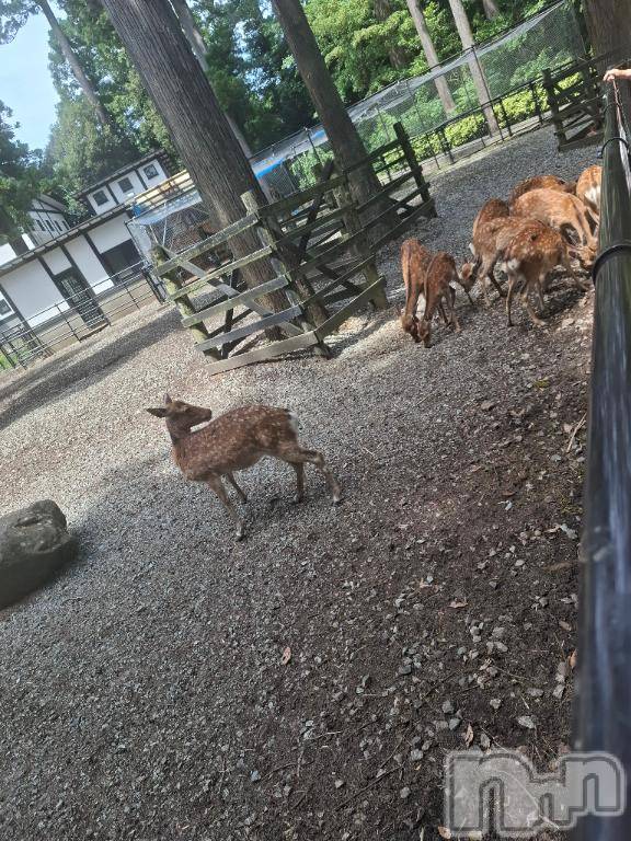 長岡デリヘル人妻楼　長岡店(ヒトヅマロウ　ナガオカテン)るみな(42)の2026年7月1日写メブログ「盛り盛りフルコース🎉🎉🎉」