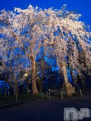 長岡デリヘル人妻楼　長岡店(ヒトヅマロウ　ナガオカテン) るみな(42)の4月11日写メブログ「見事な❗」