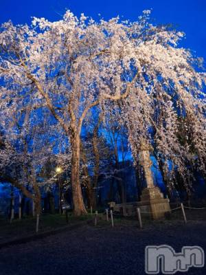 長岡デリヘル 人妻楼　長岡店(ヒトヅマロウ　ナガオカテン) るみな(42)の4月11日写メブログ「見事な❗」