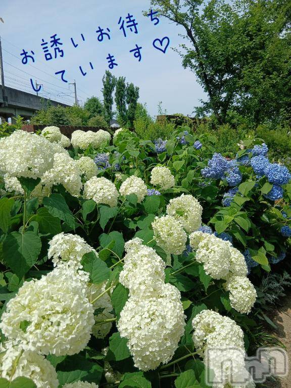 新潟人妻デリヘル人妻不倫処　桃屋　新潟店(ヒトヅマフリンドコロモモヤ) しずく・清純派愛嬌◎(43)の7月15日写メブログ「やっと😭」