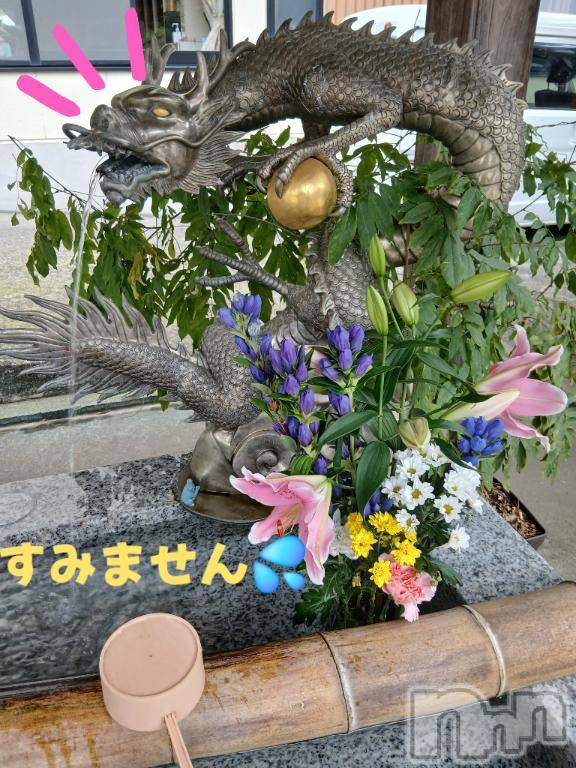 新潟デリヘル人妻不倫処　桃屋　新潟店(ヒトヅマフリンドコロモモヤ) しずく・清純派愛嬌◎(43)の11月14日写メブログ「アレが…:((´•̥ω•̥`)):ｺﾞﾒﾝﾅｻｲ...」