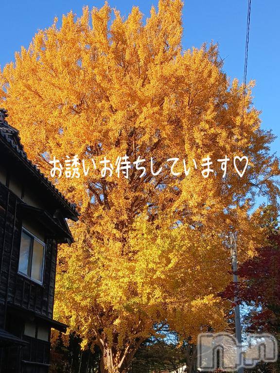 新潟デリヘル人妻不倫処　桃屋　新潟店(ヒトヅマフリンドコロモモヤ)しずく・清純派愛嬌◎(43)の2025年11月30日写メブログ「にちようび☕️🌿.•*」