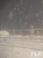 新潟デリヘル人妻不倫処　桃屋　新潟店(ヒトヅマフリンドコロモモヤ) しずく・清純派愛嬌◎(43)の2月8日写メブログ「遅くなりました💦」