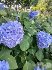 新潟デリヘル人妻不倫処　桃屋　新潟店(ヒトヅマフリンドコロモモヤ) しずく・清純派愛嬌◎(43)の6月30日写メブログ「おはよーございます🌞」