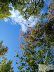 新潟デリヘル人妻不倫処　桃屋　新潟店(ヒトヅマフリンドコロモモヤ) しずく・清純派愛嬌◎(43)の10月28日写メブログ「☆復٩(ˊᗜˋ*)و活☆」