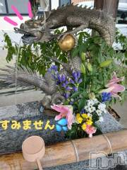 新潟デリヘル人妻不倫処　桃屋　新潟店(ヒトヅマフリンドコロモモヤ) しずく・清純派愛嬌◎(43)の11月14日写メブログ「アレが…:((´•̥ω•̥`)):ｺﾞﾒﾝﾅｻｲ...」