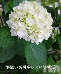 新潟デリヘル人妻不倫処　桃屋　新潟店(ヒトヅマフリンドコロモモヤ) しずく・清純派愛嬌◎(43)の6月8日写メブログ「出勤しました♪」