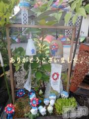新潟デリヘル人妻不倫処　桃屋　新潟店(ヒトヅマフリンドコロモモヤ) しずく・清純派愛嬌◎(43)の7月30日写メブログ「再チャレンジ🩷」