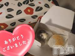 新潟デリヘル人妻不倫処　桃屋　新潟店(ヒトヅマフリンドコロモモヤ) しずく・清純派愛嬌◎(43)の9月4日写メブログ「初めて🩷」