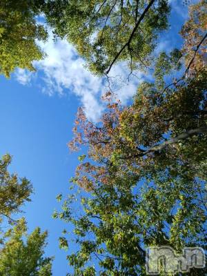 新潟デリヘル 人妻不倫処　桃屋　新潟店(ヒトヅマフリンドコロモモヤ) しずく・清純派愛嬌◎(43)の10月28日写メブログ「☆復٩(ˊᗜˋ*)و活☆」