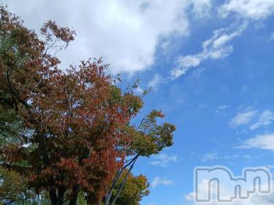 新潟デリヘル 人妻不倫処　桃屋　新潟店(ヒトヅマフリンドコロモモヤ) しずく・清純派愛嬌◎(43)の11月3日写メブログ「何故？ナゼ？な～ぜ？(* ᐕ)？」