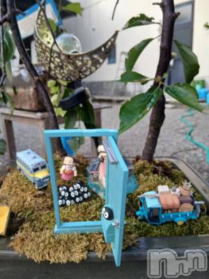 新潟デリヘル 人妻不倫処　桃屋　新潟店(ヒトヅマフリンドコロモモヤ) しずく・清純派愛嬌◎(43)の9月1日写メブログ「曜日間違え(ﾉ≧ڡ≦)☆」