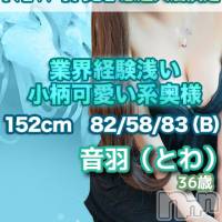 上田発デリヘル MACHERIE-マシェリ-(マシェリ)の2月18日お店速報「【日曜日イベント】 100min 18,000yen（指名料込み）」