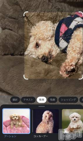 上越デリヘルHONEY(ハニー) らむ(♪♪)(22)の2月8日写メブログ「お礼日記💌」