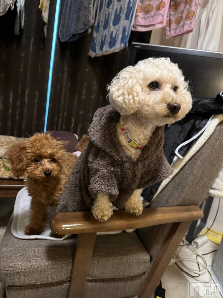 上越デリヘルHONEY(ハニー) らむ(♪♪)(22)の12月6日写メブログ「1000円🈹✨️」