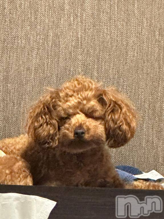 上越デリヘルHONEY(ハニー)らむ(♪♪)(22)の2025年10月16日写メブログ「ありがとう～💖 😷😷」